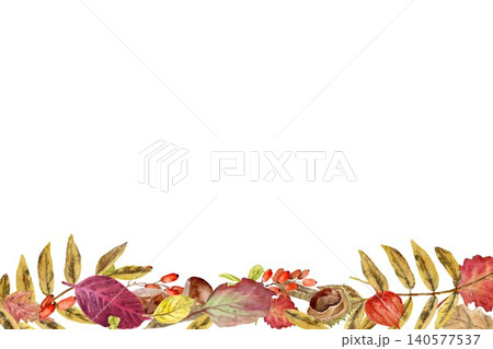 A rectangular composition with autumn red, yellow and orange leaves, chestnuts, and berries on an isolated background, hand-painted in watercolor. Simple botanical clip art with space for text. A rectangular composition with autumn red, yellow and orange leaves, chestnuts, and berries on an isolated background, hand-painted in watercolor. Simple botanical clip art with space for text. 140577537