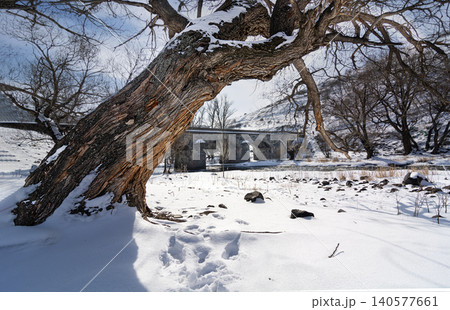 Historical Stone Bridge in Kars covered in snow framed by an old tree in winter, Turkey Historical Stone Bridge in Kars covered in snow framed by an old tree in winter, Turkey 140577661