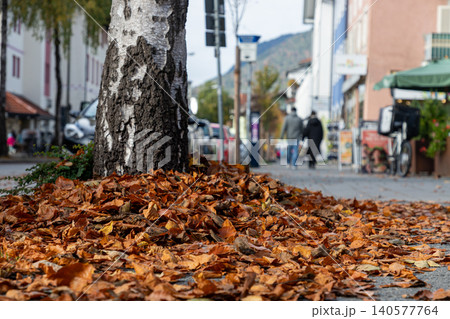 Fallen autumn leaves on a sidewalk in a European town Fallen autumn leaves on a sidewalk in a European town 140577764