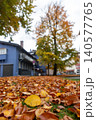 Yellow autumn leaf on fallen leaves in a quiet European town 140577765