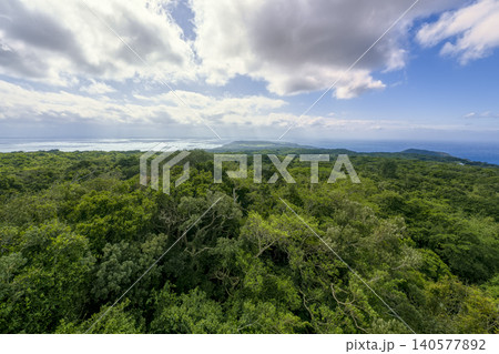 台湾・屏東県 墾丁の森林と鵝鑾鼻・バシー海峡 眺望 / Kenting, Taiwan 台湾・屏東県 墾丁の森林と鵝鑾鼻・バシー海峡 眺望 / Kenting, Taiwan 140577892