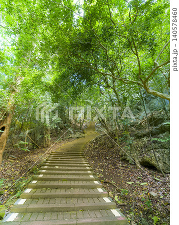 台湾・恒春【墾丁国家森林遊楽区・花榭小徑】 / Kenting, Hengchu, Taiwan 台湾・恒春【墾丁国家森林遊楽区・花榭小徑】 / Kenting, Hengchu, Taiwan 140578460