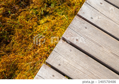 Wooden boardwalk through swamp covered with moss. Eco trail path in peatland area. Nature hiking way for trekking through forest wetland and marsh landscape. Sustainable travel environment. 140578486