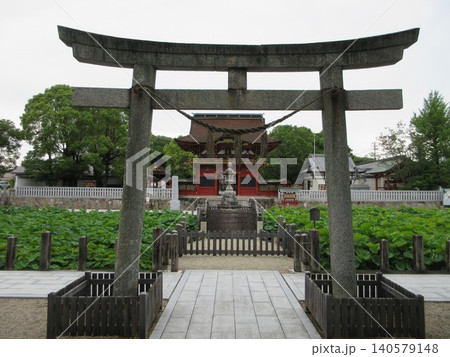 伊賀八幡宮の鳥居と随身門！愛知県岡崎市 140579148