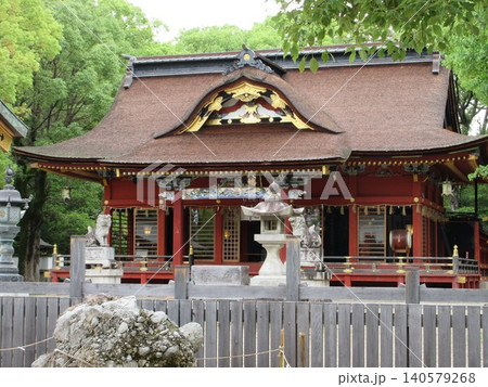 伊賀八幡宮の狛犬と拝殿!愛知県岡崎市 伊賀八幡宮の狛犬と拝殿!愛知県岡崎市 140579268