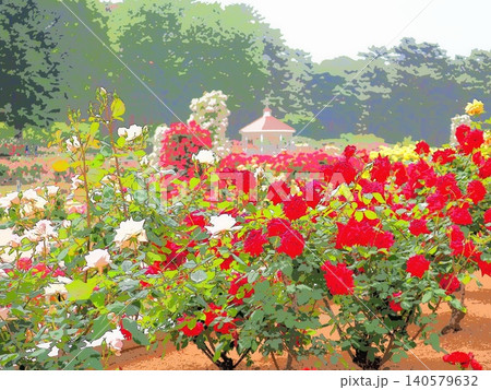 初夏のバラ園(afr20260515091559) 初夏のバラ園(afr20260515091559) 140579632
