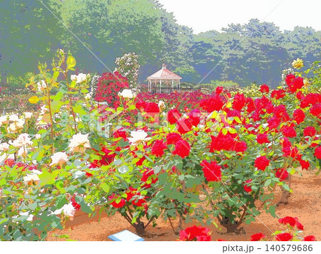初夏のバラ園（afr20260515091612） 140579686