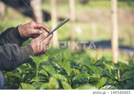 Smart farmer holding smartphone in eco green farm sustainable quality control. Close up Hand control planting tree. Farmer hands cultivated fresh garden in eco biotechnology. Farmland technology 140580885