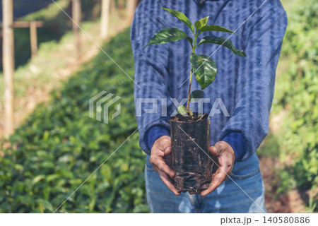 Smart farmer checking plant in eco green farm sustainable quality control. Close up Hand check quality control plant tree. Farmer cultivated planting in eco Farmland biotechnology. Green agriculture Smart farmer checking plant in eco green farm sustainable quality control. Close up Hand check quality control plant tree. Farmer cultivated planting in eco Farmland biotechnology. Green agriculture 140580886