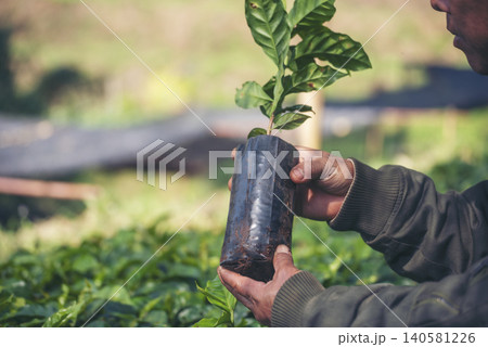 Smart farmer checking plant in eco green farm sustainable quality control. Close up Hand check quality control plant tree. Farmer cultivated planting in eco Farmland biotechnology. Green agriculture 140581226
