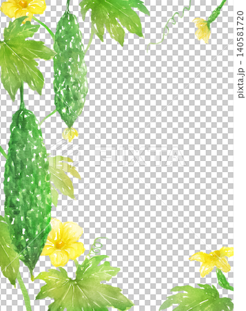 Watercolor bitter melon frame Watercolor bitter melon frame 140581720