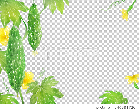 Watercolor bitter melon frame Watercolor bitter melon frame 140581726