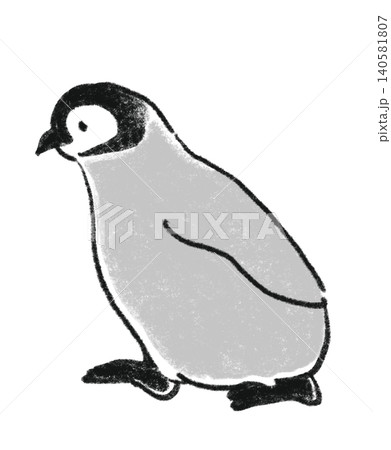 手描き風のコウテイペンギンのこども（ヒナ）のイラスト 140581807