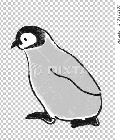 手描き風のコウテイペンギンのこども（ヒナ）のイラスト 140581807