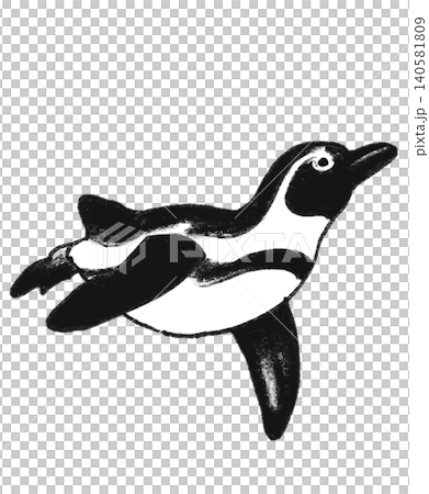 手描き風の泳ぐケープペンギンのイラスト 140581809