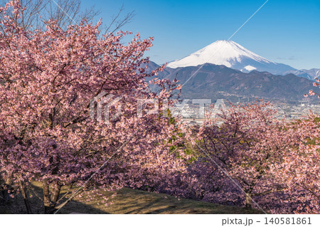 おおいゆめの里の河津桜と夜明けの富士山 おおいゆめの里の河津桜と夜明けの富士山 140581861