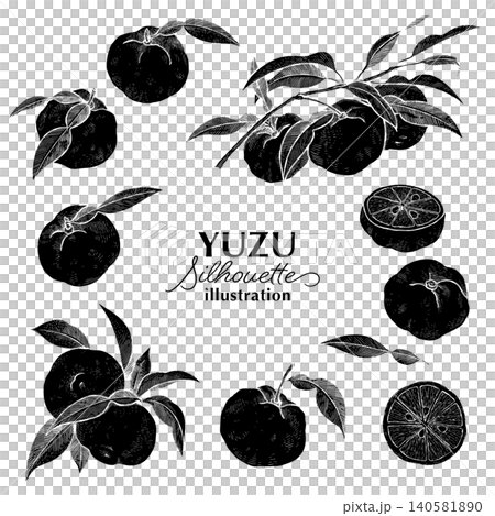 Yuzu silhouette hand-drawn illustration set Yuzu silhouette hand-drawn illustration set 140581890