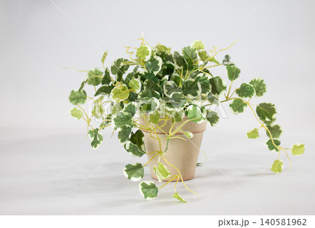 室内に飾った造花、室内　グリーン 140581962