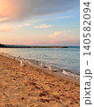 A group of seagulls standing and walking on the golden sand at the water's edge on a beach during a beautiful pastel sunset. 140582094