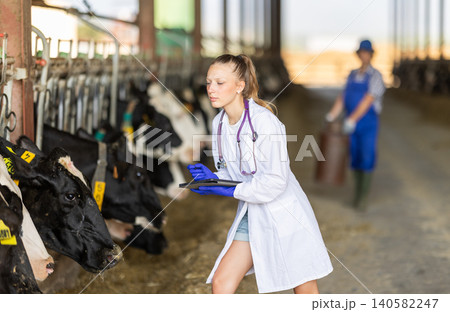 young veterinarian with a tablet in his hands stands against the background of cows young veterinarian with a tablet in his hands stands against the background of cows 140582247