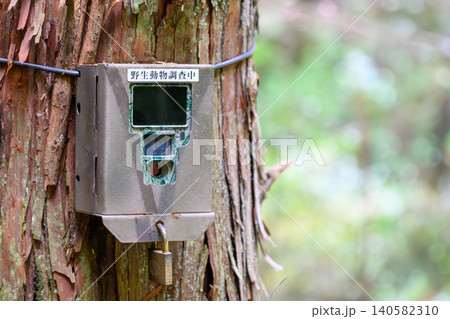 野生動物監視カメラ 野生動物監視カメラ 140582310