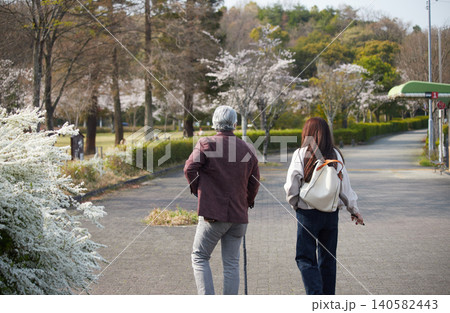 春の桜満開の公園で散歩するシニア男性と若い女性の姿 140582443