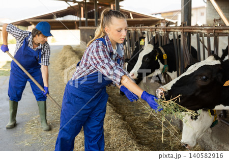 Female farmer giving grass to cows in stall 140582916