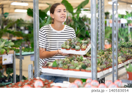 Smiling young woman choosing ornamental potted succulents in greenhouse 140583054