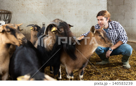 Male farmer takes care of herd of goats in a paddock at animal farm Male farmer takes care of herd of goats in a paddock at animal farm 140583239