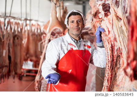 Successful butcher standing in cold storage near raw cow carcass Successful butcher standing in cold storage near raw cow carcass 140583645