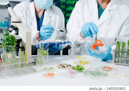 Scientists analyzing food samples in laboratory. Biotechnology research, nutrition testing, GMO inspection, healthcare innovation and quality control concept. 140583861