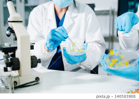 Food scientists in lab coats, testing samples, and analyzing food safety and quality in a modern laboratory environment. Food scientists in lab coats, testing samples, and analyzing food safety and quality in a modern laboratory environment. 140583908