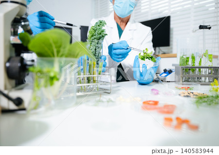 Scientists conducting plant biotechnology research in laboratory. Food science testing, agricultural innovation, healthcare analysis Scientists conducting plant biotechnology research in laboratory. Food science testing, agricultural innovation, healthcare analysis 140583944