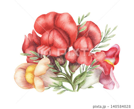Watercolor snapdragon flower bouquet botanical illustration. Hand drawn red and yellow vibrant blossom. Realistic floral design for greeting card. Garden seed pack or wedding invitation template. Watercolor snapdragon flower bouquet botanical illustration. Hand drawn red and yellow vibrant blossom. Realistic floral design for greeting card. Garden seed pack or wedding invitation template. 140584028