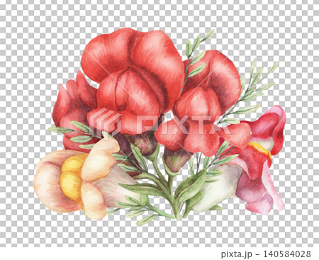 Watercolor snapdragon flower bouquet botanical illustration. Hand drawn red and yellow vibrant blossom. Realistic floral design for greeting card. Garden seed pack or wedding invitation template. Watercolor snapdragon flower bouquet botanical illustration. Hand drawn red and yellow vibrant blossom. Realistic floral design for greeting card. Garden seed pack or wedding invitation template. 140584028