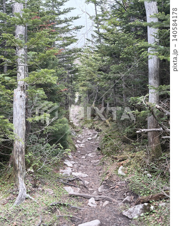 深いシラビソ林の中を一直線に延びる蓼科山の登山道 140584178