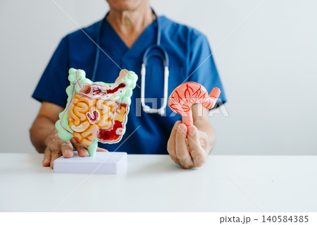 Doctor demonstrating a stomach anatomy model for digestive system education, healthcare learning, and medical concepts. 140584385