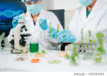 Scientists analyzing plant samples in biotechnology laboratory using microscope and test tubes. Concept of medical research, food science Scientists analyzing plant samples in biotechnology laboratory using microscope and test tubes. Concept of medical research, food science 140584564