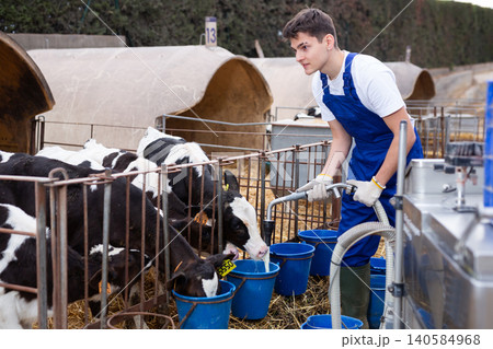 Male farmer pouring water into buckets - watering cows on farm 140584968