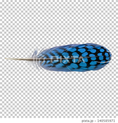 Isolated Blue Jay Feather with Black Spots on a Black Background Isolated Blue Jay Feather with Black Spots on a Black Background 140585971