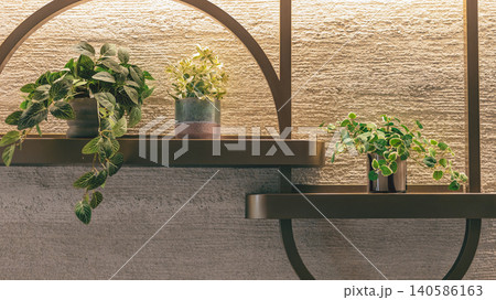 観葉植物が並ぶ棚 壁面ディスプレイ 間接照明のある室内 観葉植物が並ぶ棚 壁面ディスプレイ 間接照明のある室内 140586163