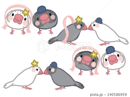 七夕の頬黒文鳥とゴマ塩文鳥のセットイラスト 七夕の頬黒文鳥とゴマ塩文鳥のセットイラスト 140586959
