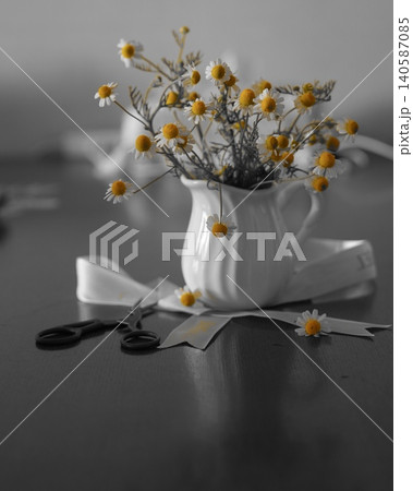 モノクロームのカモミール花 140587085