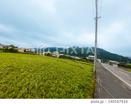 初夏ののどかな里山と美しい渓流の風景 愛媛県新居浜市 初夏ののどかな里山と美しい渓流の風景 愛媛県新居浜市 140587916