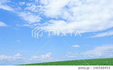爽やかな夏の青空と北海道美瑛町の丘のに咲くジャガイモの花 爽やかな夏の青空と北海道美瑛町の丘のに咲くジャガイモの花 140588453