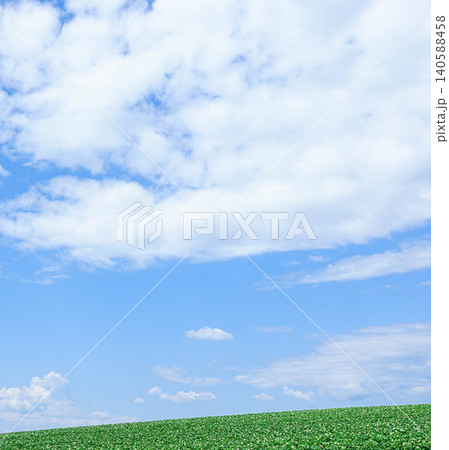 爽やかな夏の青空と北海道美瑛町の丘のに咲くジャガイモの花 140588458