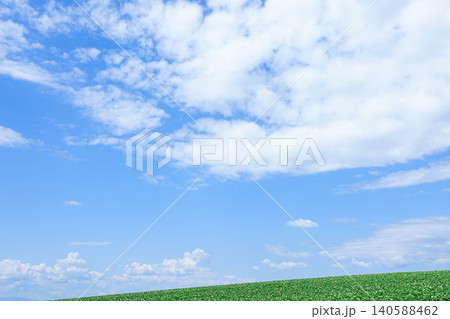 爽やかな夏の青空と北海道美瑛町の丘のに咲くジャガイモの花 爽やかな夏の青空と北海道美瑛町の丘のに咲くジャガイモの花 140588462
