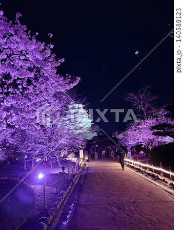 夜桜の姫路城 夜桜の姫路城 140589123