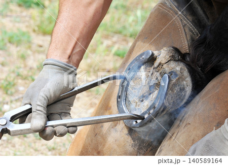farrier farrier 140589164