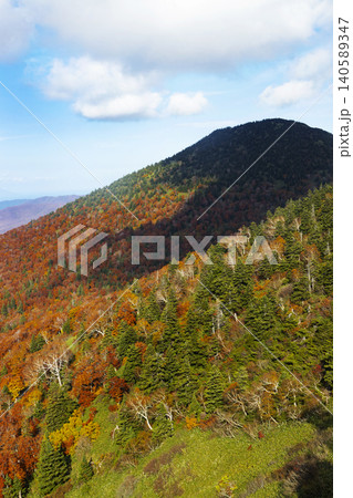 八甲田ロープウェーから見た八甲田山の紅葉 八甲田ロープウェーから見た八甲田山の紅葉 140589347